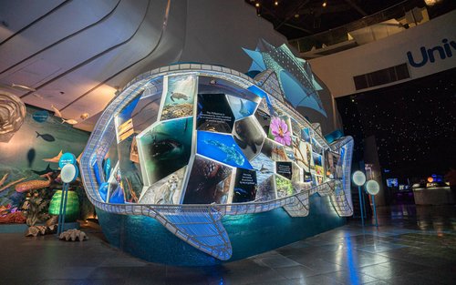 The Mind Museum BGC Ticket