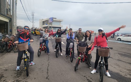 Jeju Udo & Seongsan Ilchulbong Full-Day UNESCO Site Private Tour