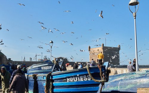 Casablanca & Marrakech 3-Day Private Medina & Coastal Tour