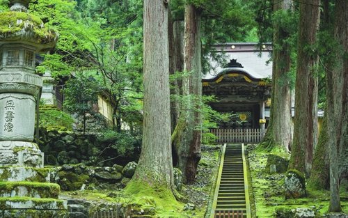 Tur de 1 zi din Kanazawa: Templul Eiheiji și orașul-castel Fukui