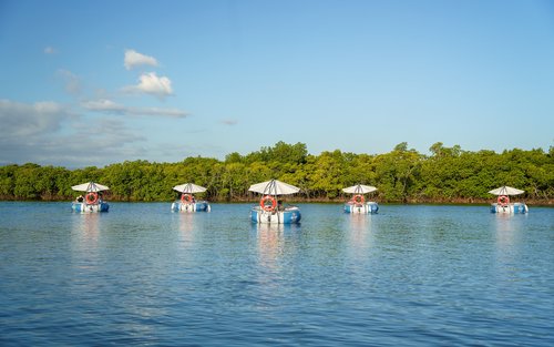 Denarau Island: Eco-Electric Self-Drive BBQ Boat Cruise – Fiji