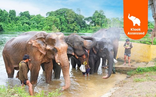 Prywatny transfer ze świata słoni w Kanchanaburi z Bangkoku