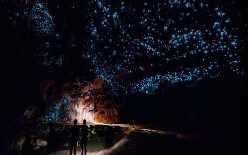 黃金海岸春溪國家公園&藍光螢火蟲夜遊(中文導遊）
