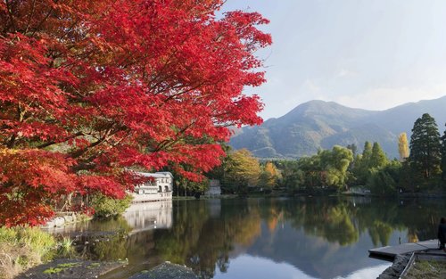 Chuyến đi một ngày đến Oita, Kyushu, Nhật Bản: Hành trình Yufuin (Yuhuin), Beppu, và phố cổ Hita khởi hành từ Fukuoka