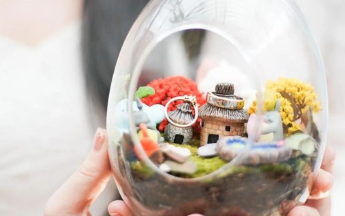 Terrarium Private Workshop in Jakarta