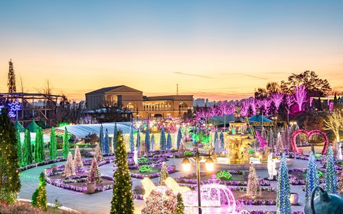 Gyeonggi-do Paju First Garden Star Light Garden One Day Tour (From Seoul)