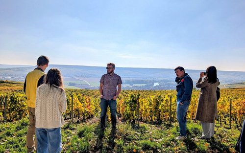 Morning Champagne & family growers (From Reims)
