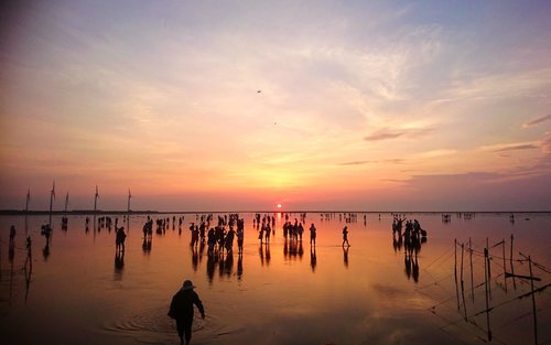 Excursion aux zones humides de Gaomei et au marché aux fleurs de ZhongShe avec thé aux perles gratuit