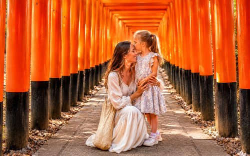 Kyoto Luxury Private Car Charter - Exploring Japanese Style