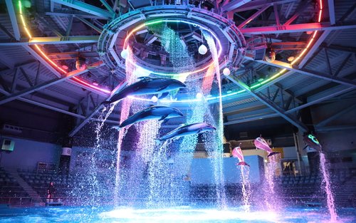 东京水族馆（Maxell Aqua Park）门票