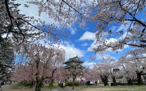Excursió de dia complet a Aomori i Hirosaki per a grups reduïts per a descobrir el patrimoni cultural