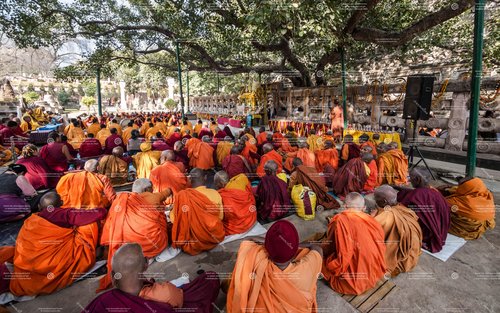 瓦拉纳西鹿野苑 6 日佛教心灵之旅