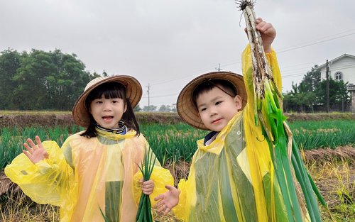 Yilan: Farma na pěstování jarní cibulky – půldenní zážitek s farmářem ze Sanxing