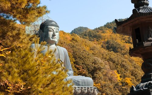 ทัวร์เต็มวันอุทยานแห่งชาติซอรัคซานและเกาะนามิ