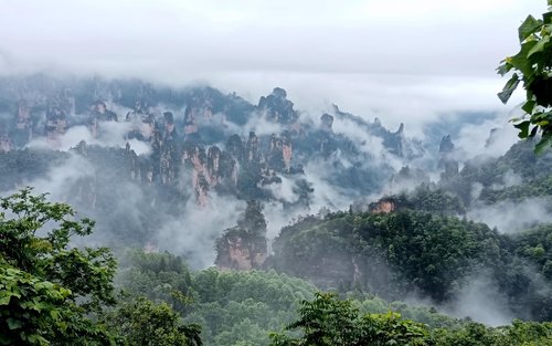 Entradas al Parque Forestal Nacional de Zhangjiajie
