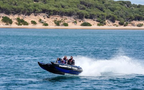 Phillip Island: High-Speed Thundercat Boat Ride, Sea Caves Tour