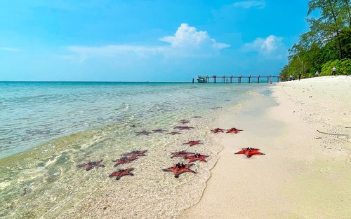 Excursão de um dia pelo norte de Phu Quoc: Caiaque, Praia das Estrelas-do-mar e Rach Vem 