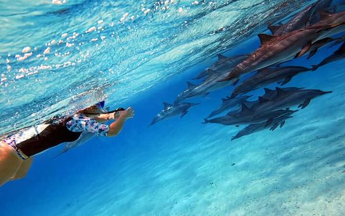 EL-Quseir – Sataya Dolphin House