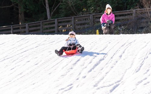 Play with Snow! Crab Buffet Lunch and Strawberry Picking Bus Tour