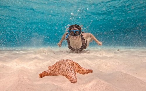 Cozumel Palancar, Cielo, Cielito félnapos sznorkelezés