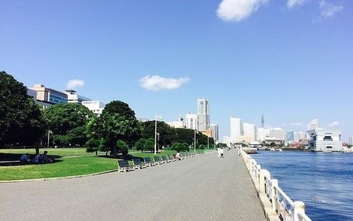 Yokohama / Kamakura 6hr Private Trip Government-Licensed Guide