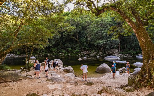 Excursió d'un dia a la selva tropical de Daintree des de Port Douglas