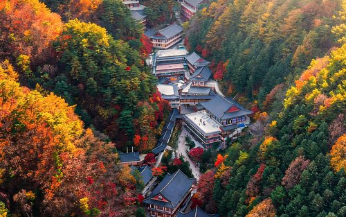 Danyang The Hidden Gem of Korea One Day Tour From Seoul