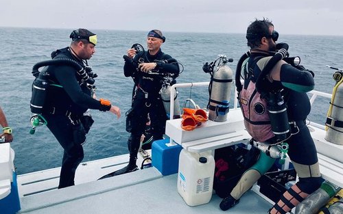 Snorkeling and Diving to Ras Mohamed And White Island by VIP Boat