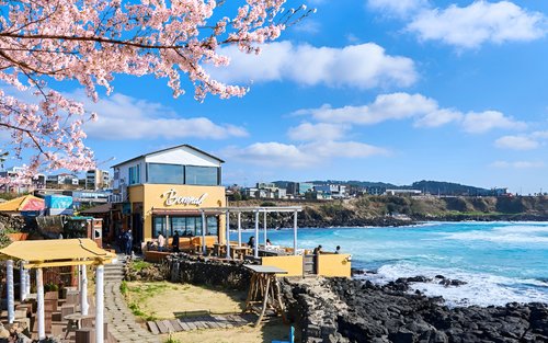 Jeju Island One Day Authentic Tour - WestSouth / East