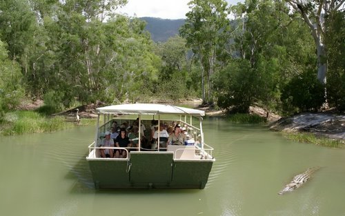 哈特利鳄鱼探险园一日 / 半日游