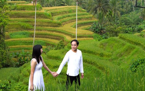 Explore Ubud: Rice Terrace, Temple & Waterfalls Private Tour