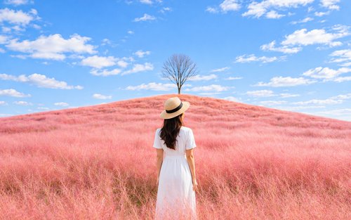[Autumn Special] 2026 Jinju Lantern Festival & Pink Muhly Day Tour 