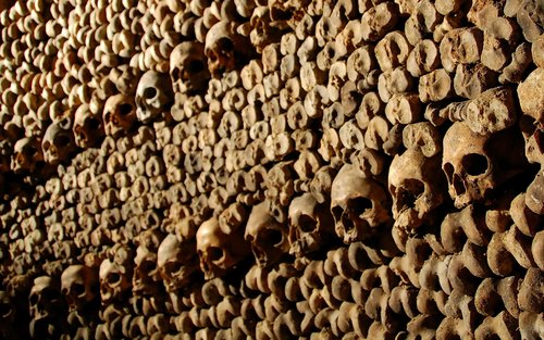 Paris Catacombs Ticket and Seine River Cruise in Paris