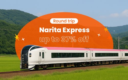 Билет на поезд Narita Express N'EX туда и обратно (Аэропорт Нарита<>Большой Токио)