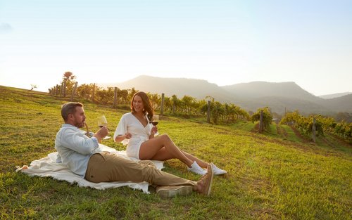 Hunter Valley Scenic wijn- en kaasproeverij vanuit Sydney