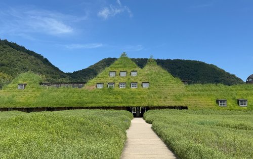 Kyoto 4 Shiga Attractions Full-Day Private Charter Tour