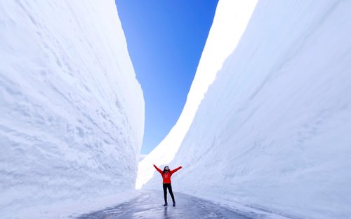 Tateyama Kurobe Snow Wall 2026 Festival 1 Day Bus Tour from Kanazawa