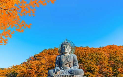 Tour 1 Ngày Tham Quan Công Viên Quốc Gia Núi Seorak Từ Seoul