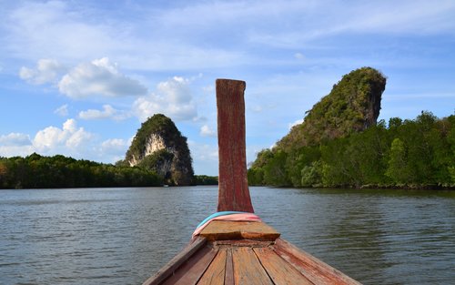 Lawatan Bot ke Hutan Paya Bakau di Krabi