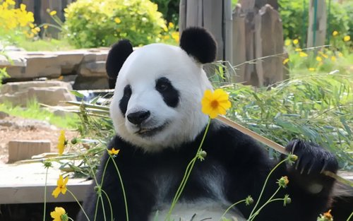 大連森林動物園