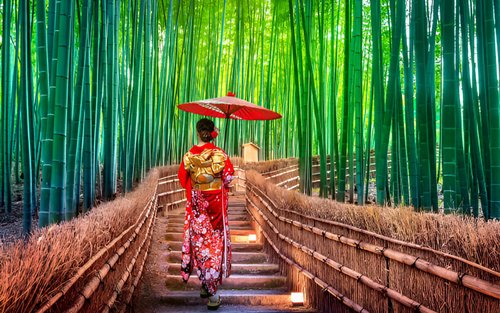 Kyoto and Nara Private Day Trip (Departure from Osaka/Kyoto)