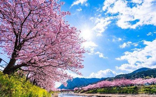 東京発｜伊豆/熱海 カスタムチャーター 日帰り旅行