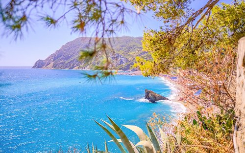 Tur Cinque Terre dari Florence dengan opsi Pisa