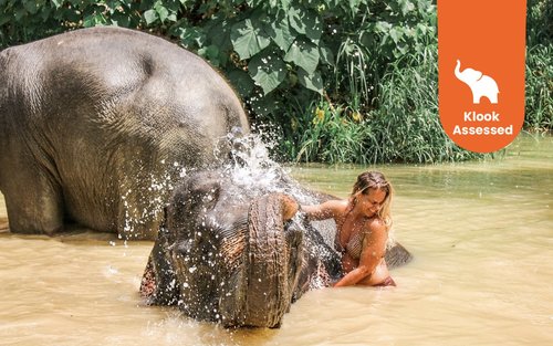奥南大象保护区体验