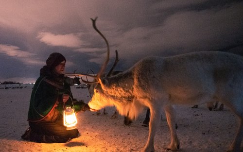 Reindeer Camp Dinner & Northern Lights Experience In Tromso