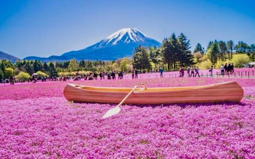 Mount Fuji Top Places Private Tour With English Speaking Guide