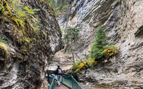 Lake Louise & Johnson Canyon Bus Tour from Canmore or Banff