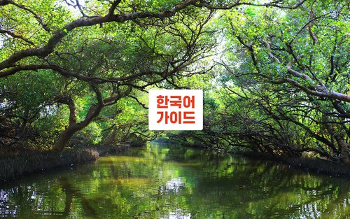 가오슝 타이난 일일 가이드 투어