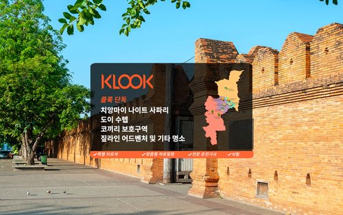 치앙마이 프라이빗 차량투어: 치앙마이 나이트 사파리, 도이수텝 사원, 코끼리 보호구역 등