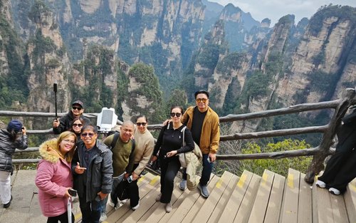 Zhangjiajie National Forest Park heldags guidet tur